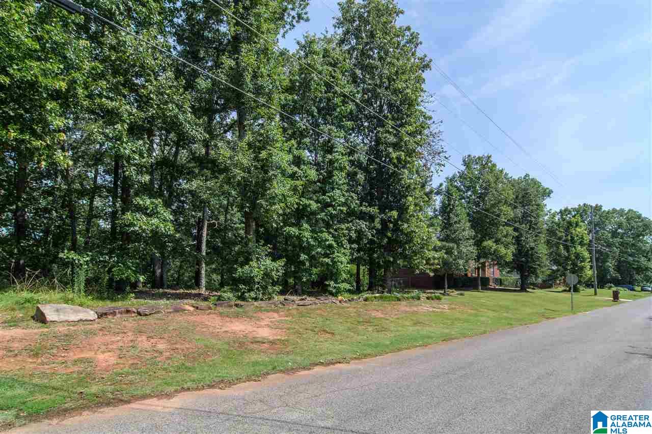 6426 Mountain Ridge Road Trussville, AL 35173 - Photo 47 of 48