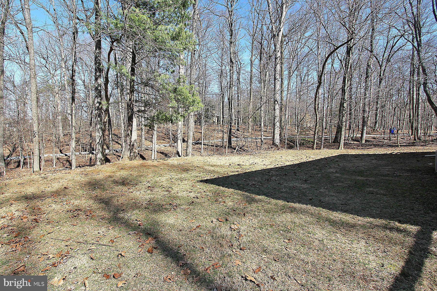 10315 Lloyd Road Potomac, MD 20854 - Photo 28 of 30 View