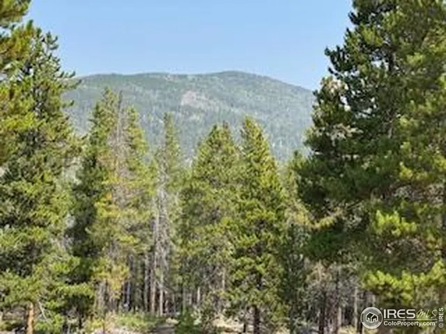 a view of a forest with mountains in the background