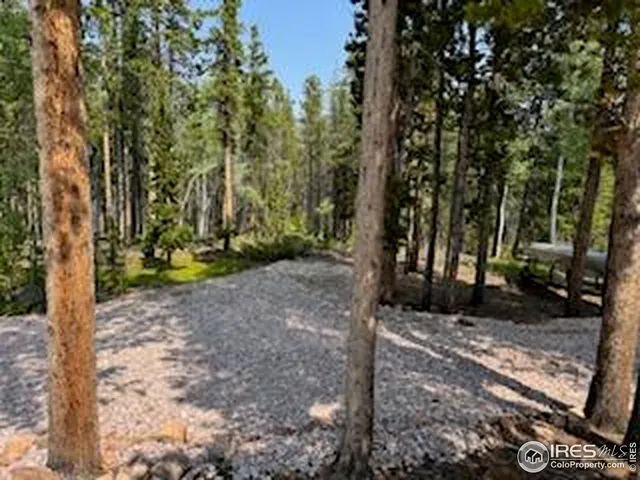 a view of a backyard with trees