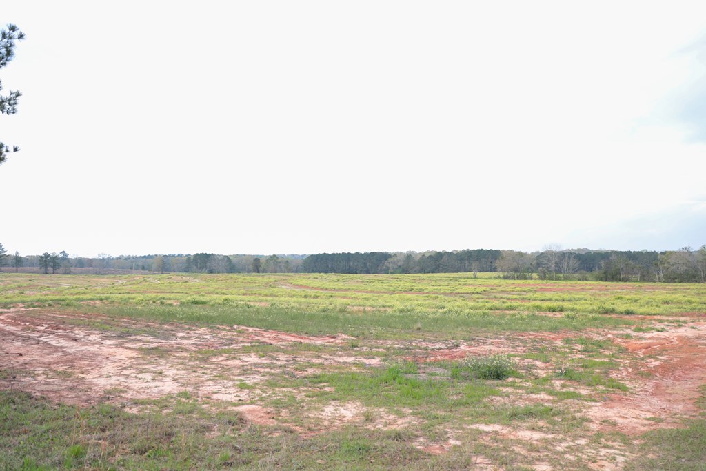 0 Travis Wise Road Samson, AL 36477 - Photo 18 of 21