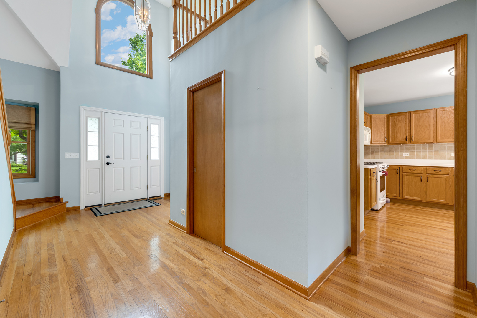 855 Ayers Street Bolingbrook, IL 60440 - Photo 13 of 41