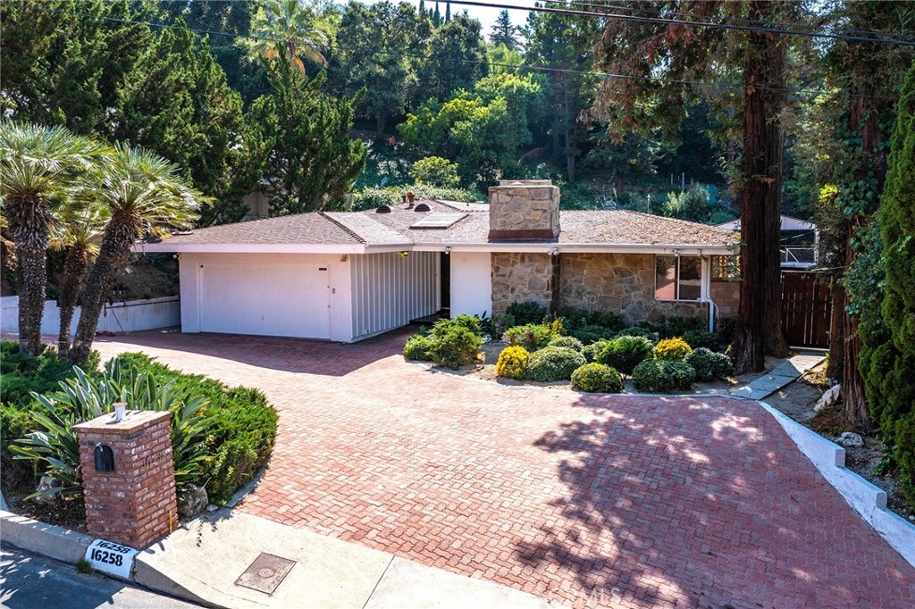 16258 Bertella Drive Encino, CA 91436 - Photo 43 of 45 a view of a garden with plants and large trees