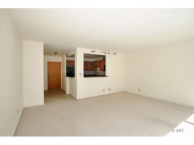 211 East Ohio Street, Unit 910 Chicago, IL 60611 - Photo 6 of 10