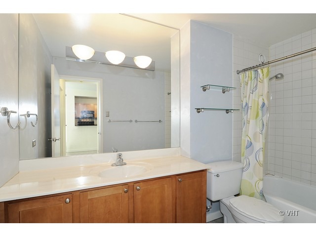 211 East Ohio Street, Unit 910 Chicago, IL 60611 - Photo 9 of 10