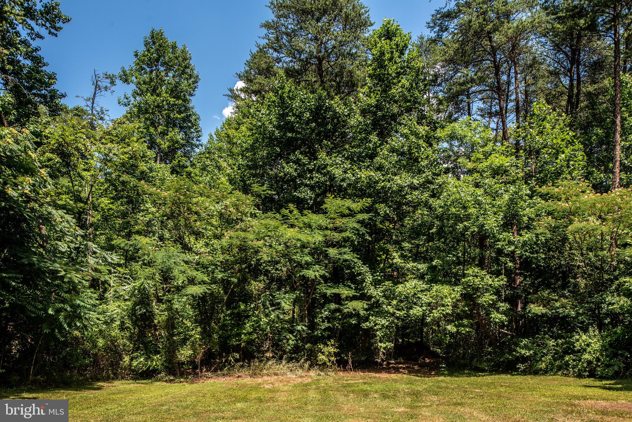 4401 Lewiston Road Bumpass, VA 23024 - Photo 12 of 65 Gallery Image 12