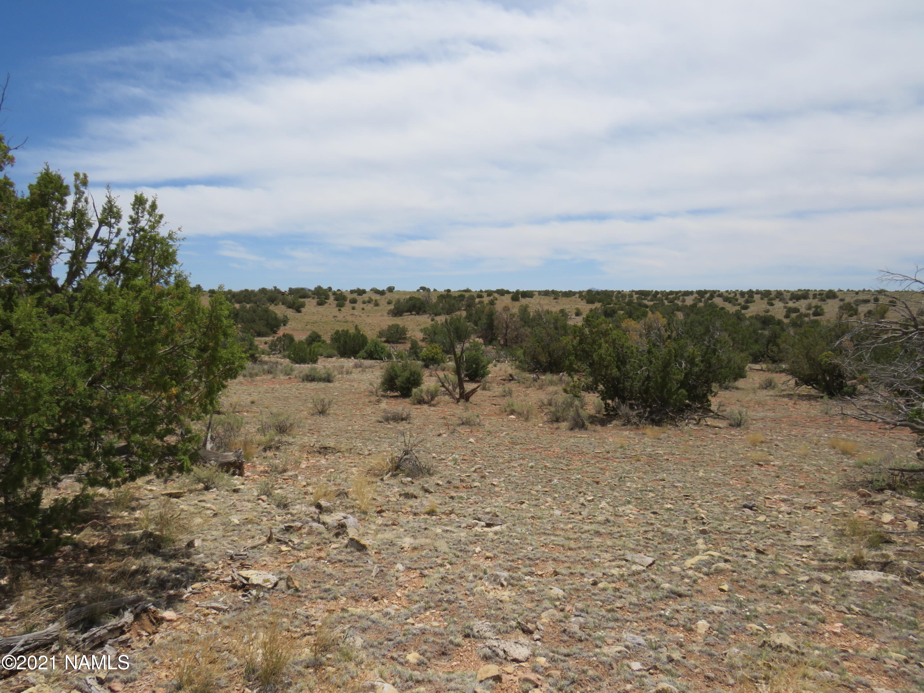 5864 Latigo Road Williams, AZ 86046 - Photo 10 of 41 IMG_0900