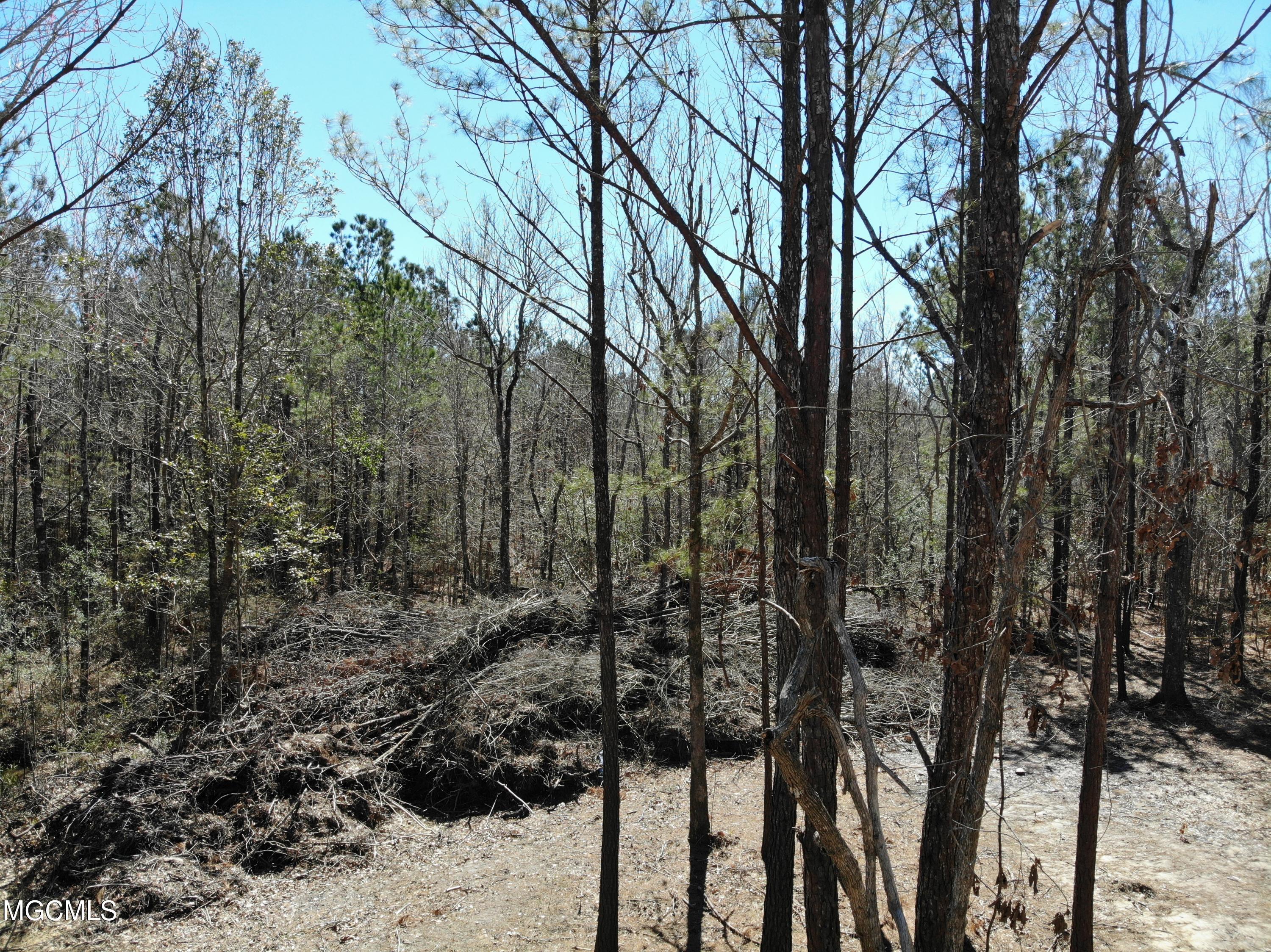9015 Lower Bay Road Bay St. Louis, MS 39520 - Photo 9 of 12 org_73a110a3d912434b_1614881734000