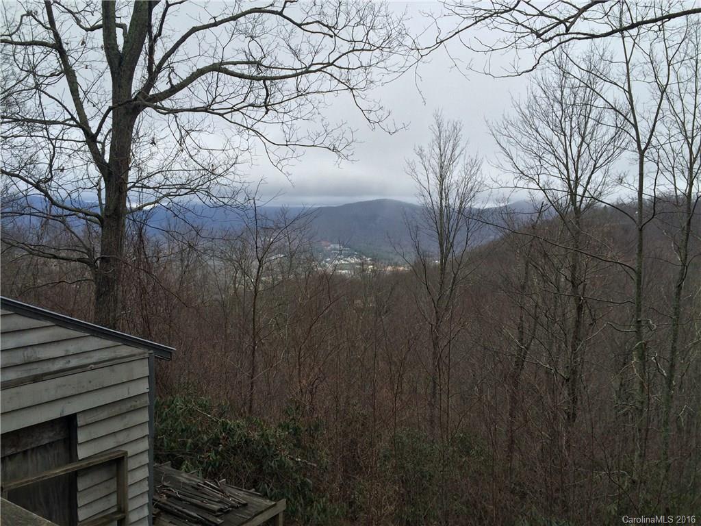 617 Pinners Cove Road Asheville, NC 28803 - Photo 2 of 4 Gallery Image 2