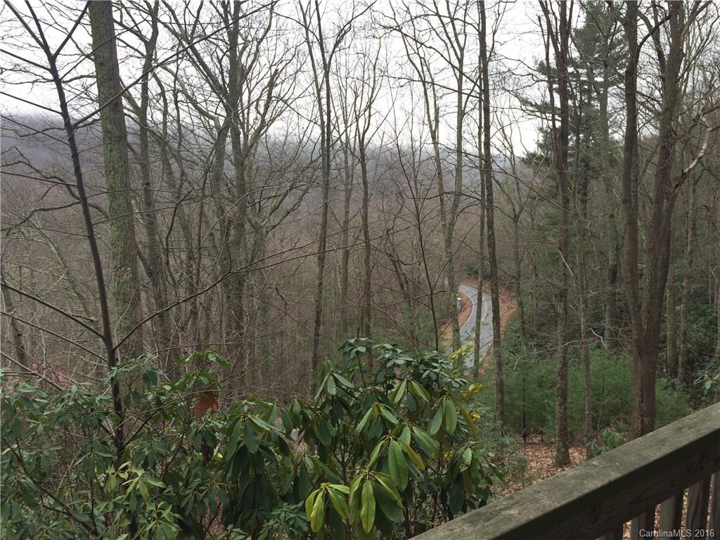 617 Pinners Cove Road Asheville, NC 28803 - Photo 3 of 4 Gallery Image 3