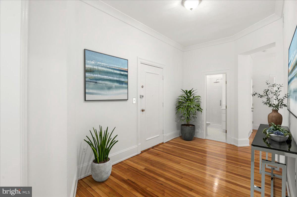 2006 Columbia Road Northwest, Unit 5 Washington, DC 20009 - Photo 6 of 41 Foyer - virtually staged