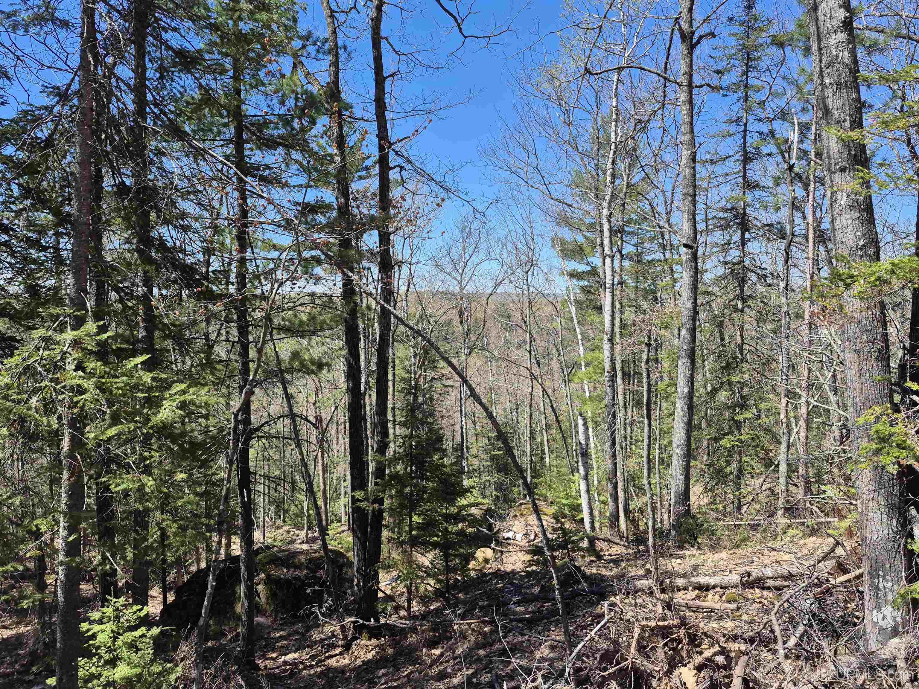 46 County Aat Road Ishpeming, MI 49849 - Photo 39 of 44