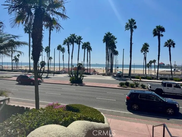 a view of yard with palm trees