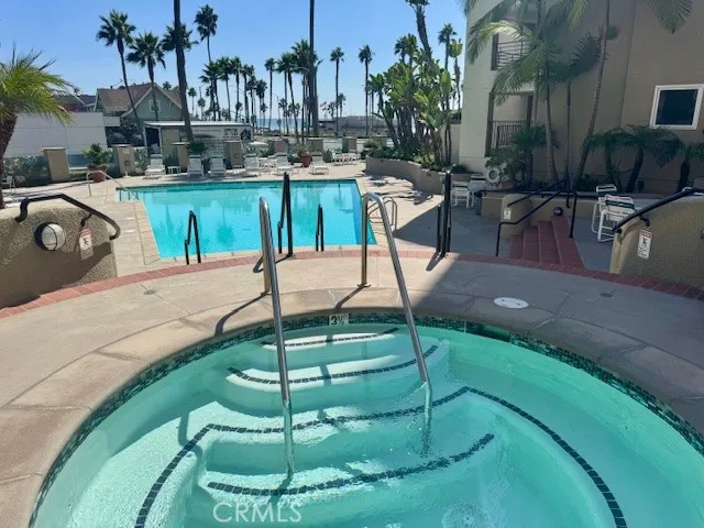 a view of a backyard with plants and a garden