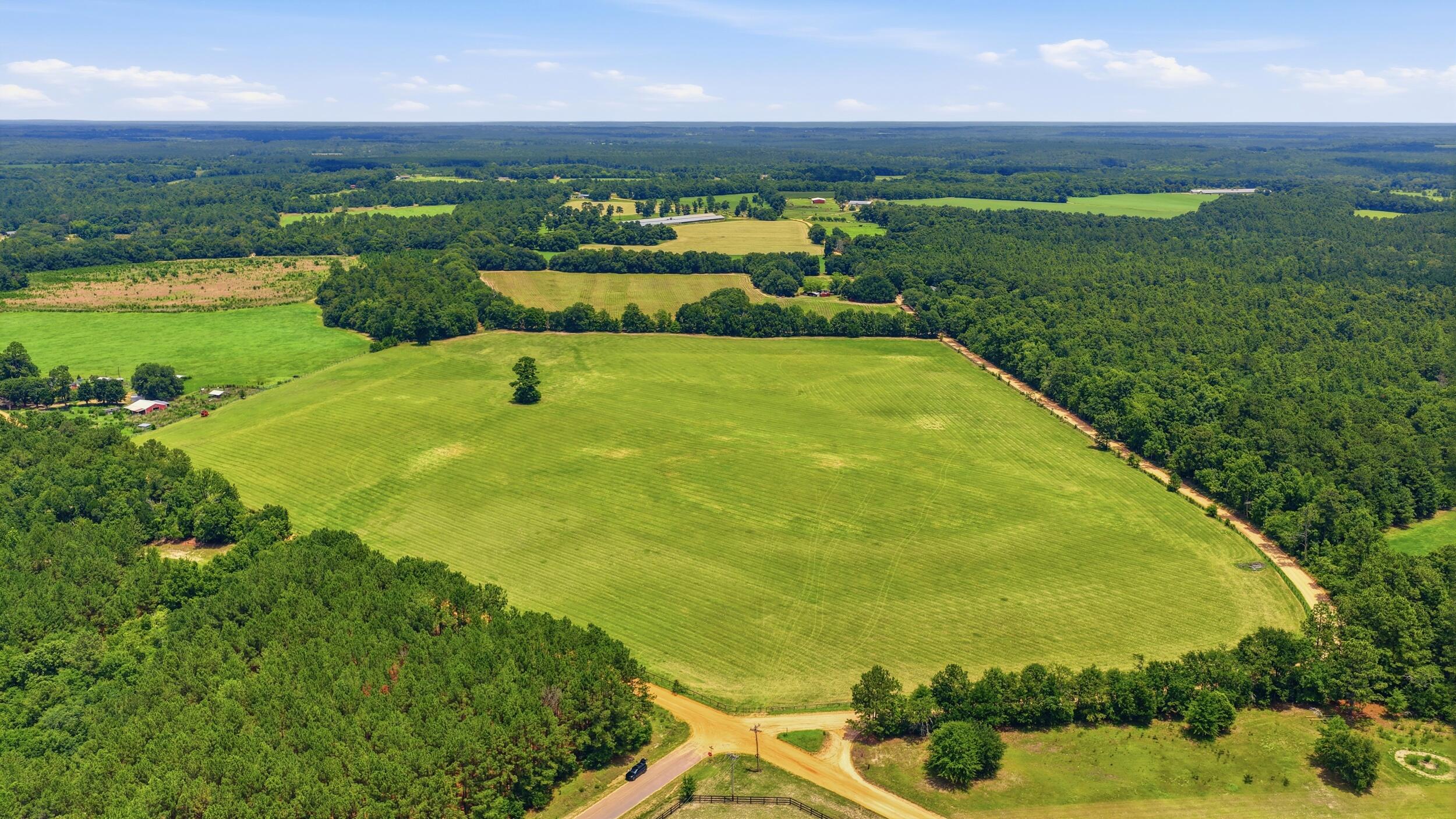 0 Bodie Road Wagener, SC 29164 - Photo 11 of 21
