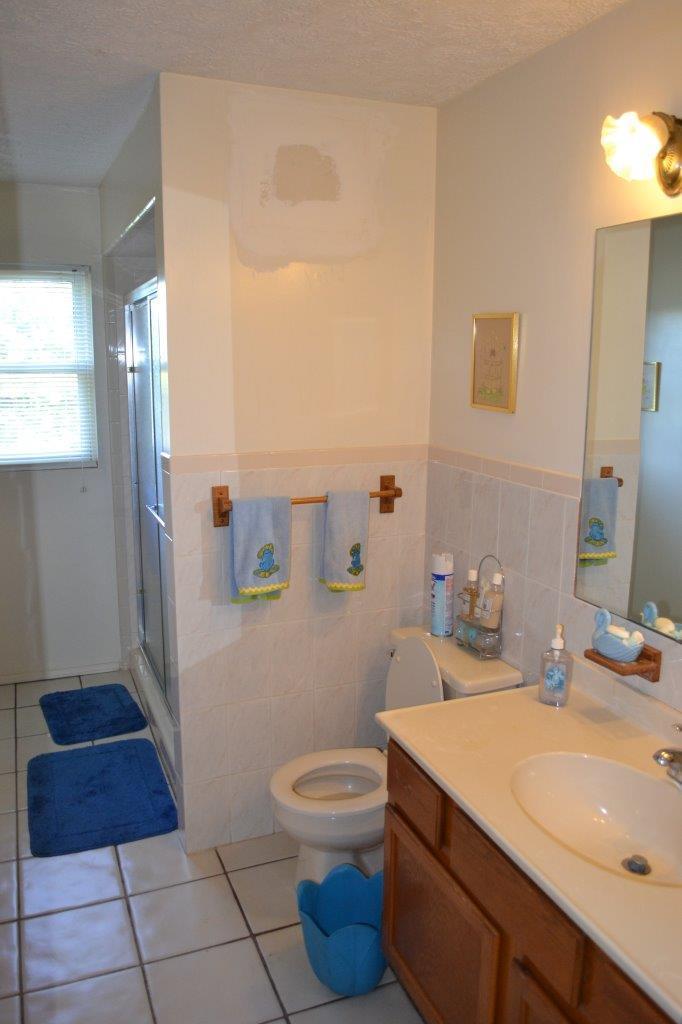 289 Radford Road Southeast Floyd, VA 24091 - Photo 26 of 32 a bathroom with a sink a toilet and shower