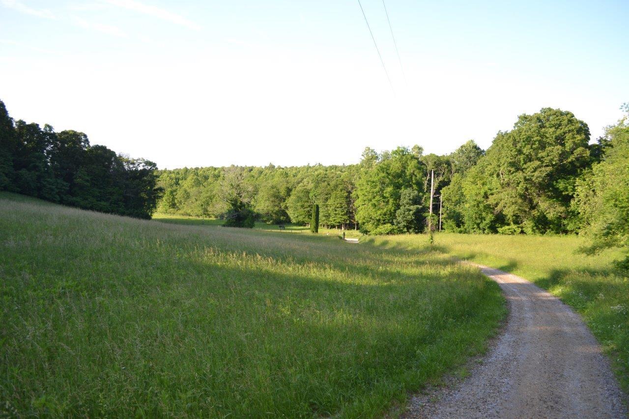 289 Radford Road Southeast Floyd, VA 24091 - Photo 32 of 32 a view of a green field with trees
