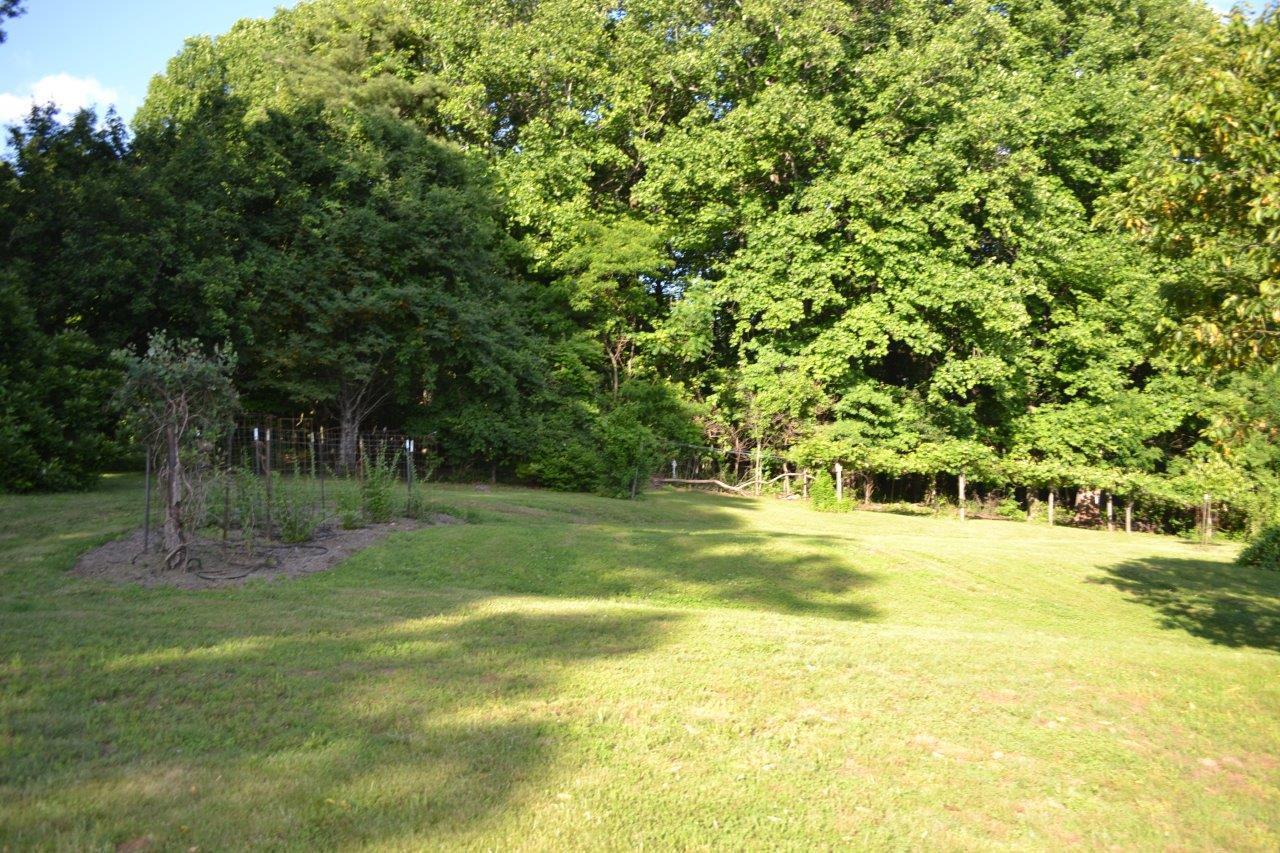 289 Radford Road Southeast Floyd, VA 24091 - Photo 9 of 32 a view of a yard with a trees