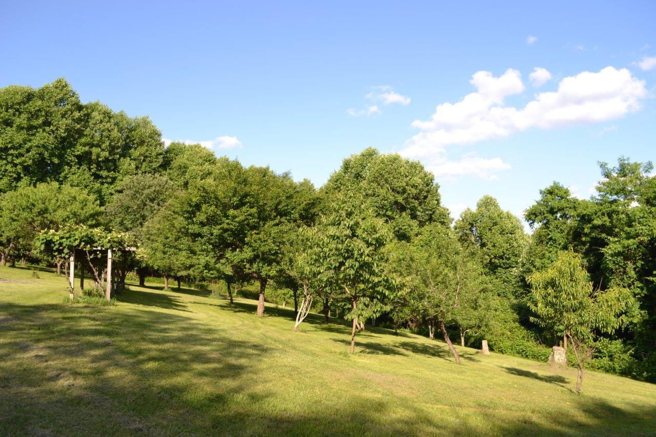289 Radford Road Southeast Floyd, VA 24091 - Photo 10 of 32 a swimming pool with trees in the background