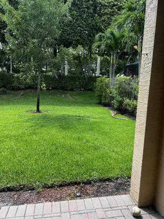 a garden with trees in front of it