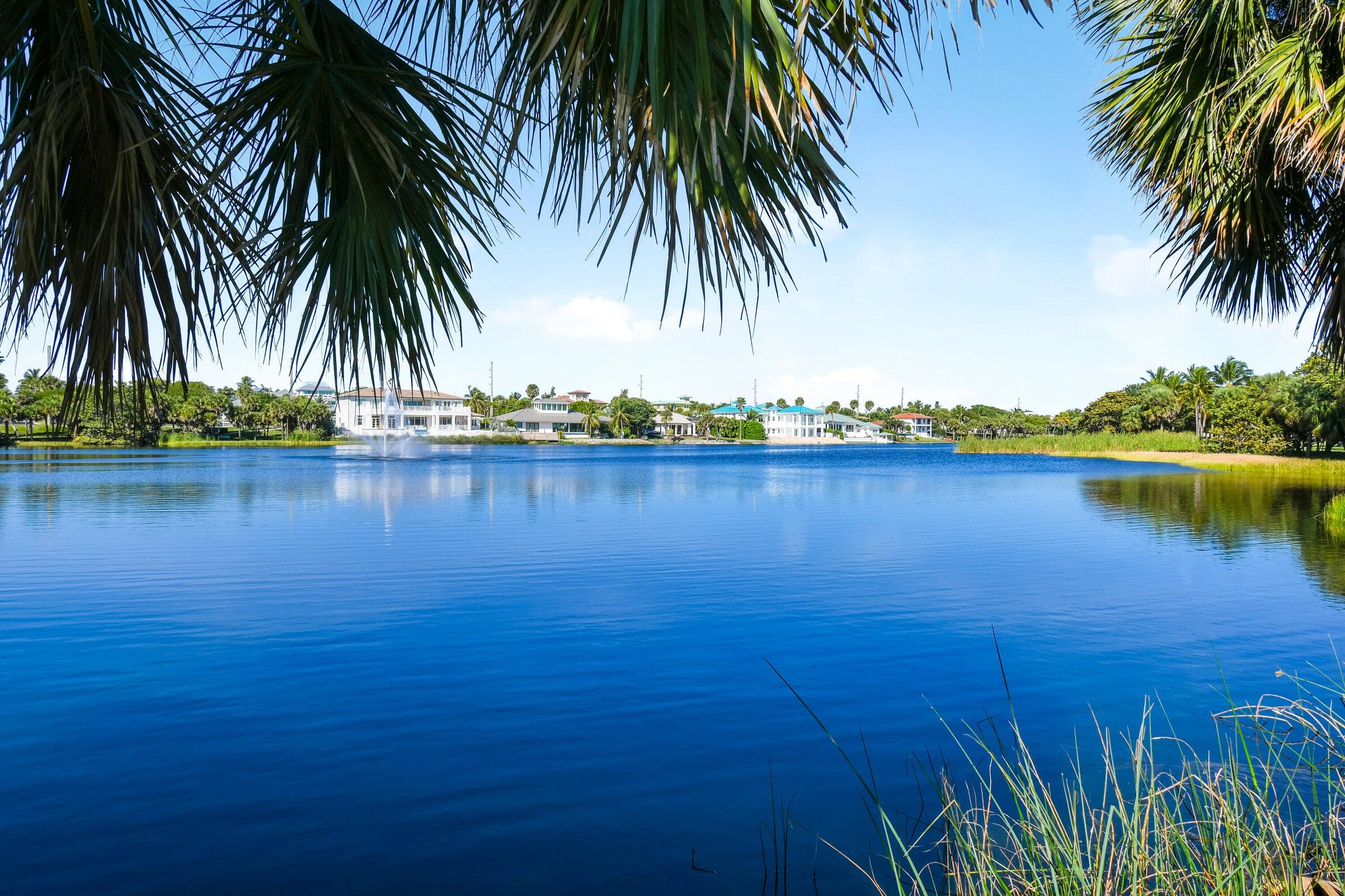 80 Celestial Way, Unit 211 Juno Beach, FL 33408 - Photo 45 of 45 a view of a lake with a palm tree