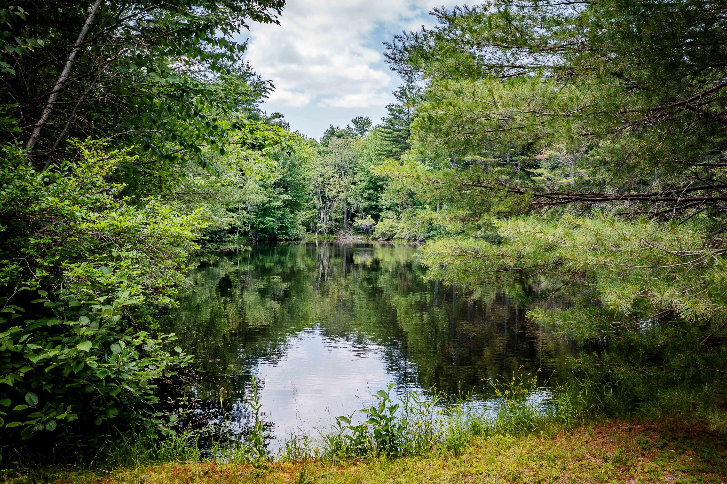 2 Springbrook Way Rockport, ME 04856 - Photo 84 of 86 Reflection Pond