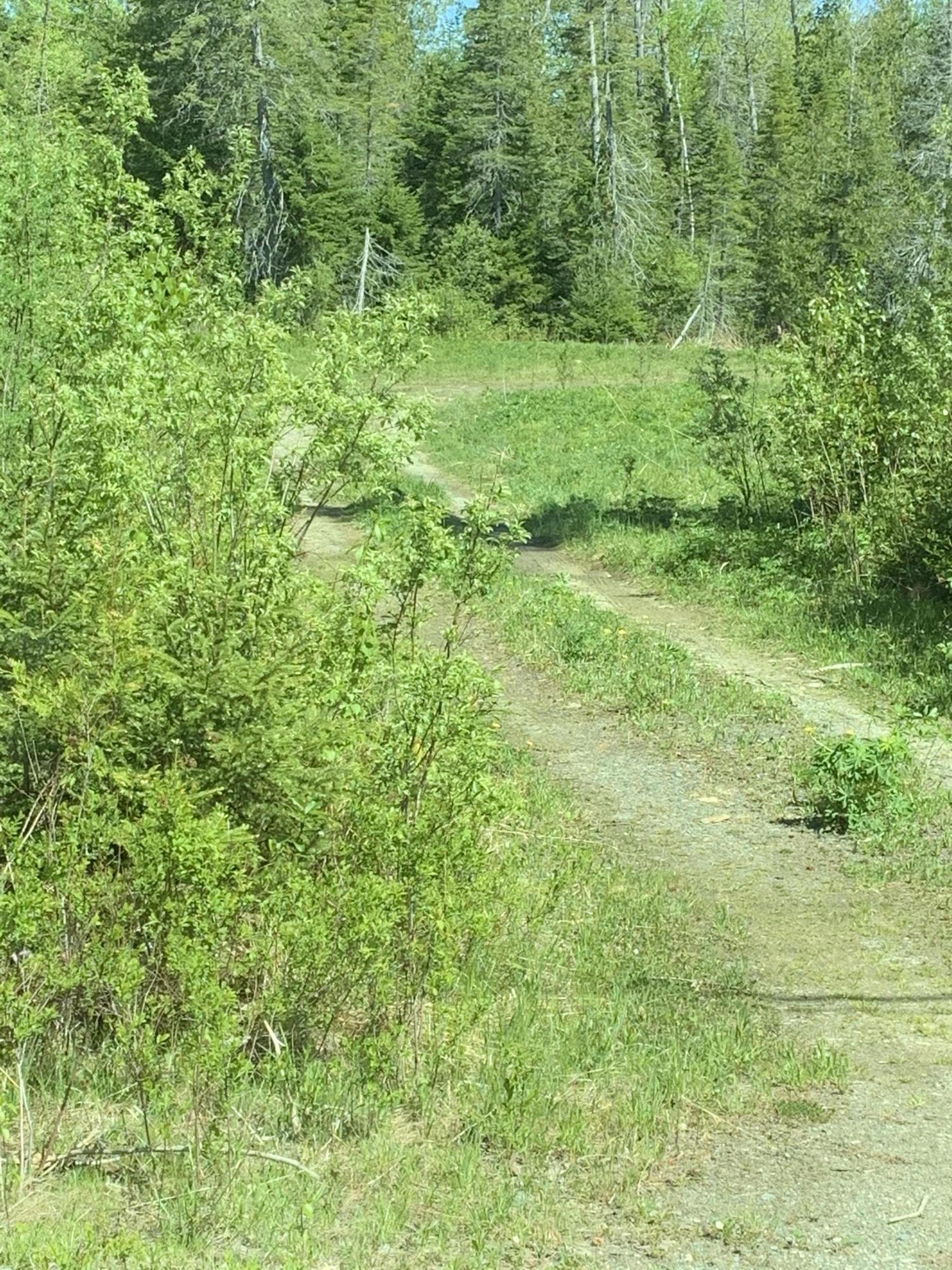 11 Stratton Road Rangeley, ME 04970 - Photo 1 of 10 6B855259-DEFC-4928-AA9F-FFF61750E813