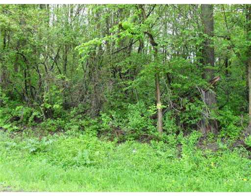 Smith & S Center Road Conneautville, PA 16406 - Photo 1 of 7 Land/Lot.