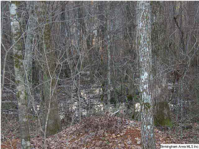 4105 McGowans Ferry Road Childersburg, AL 35044 - Photo 1 of 1