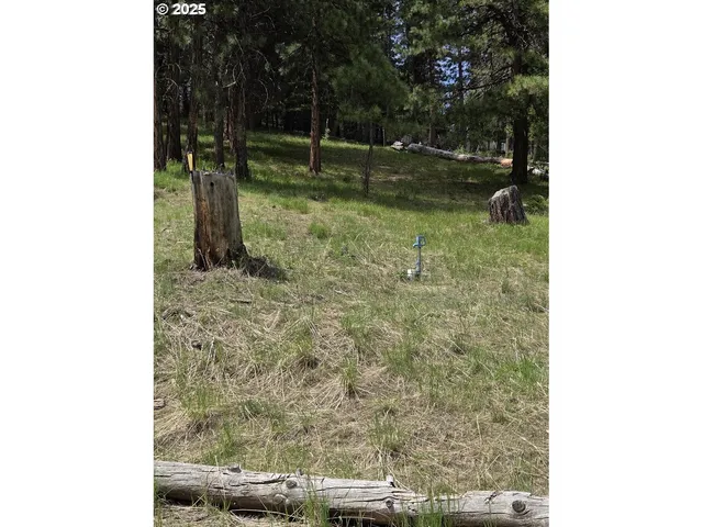 a backyard of a house