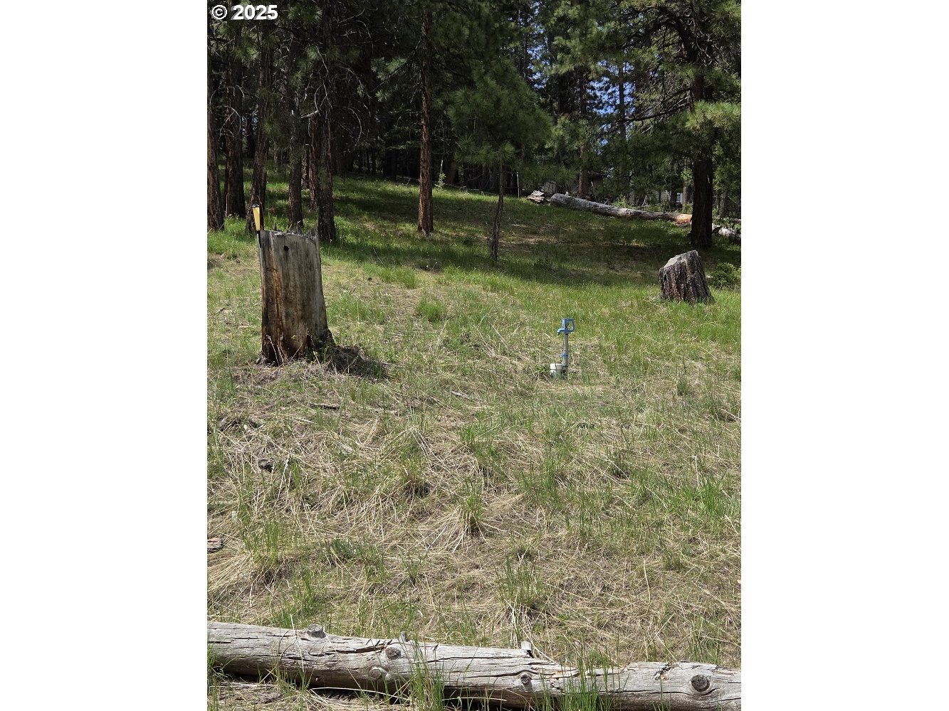 3300 Blake Ranch Road Heppner, OR 97836 - Photo 8 of 10 a bathroom with a sink and mirror