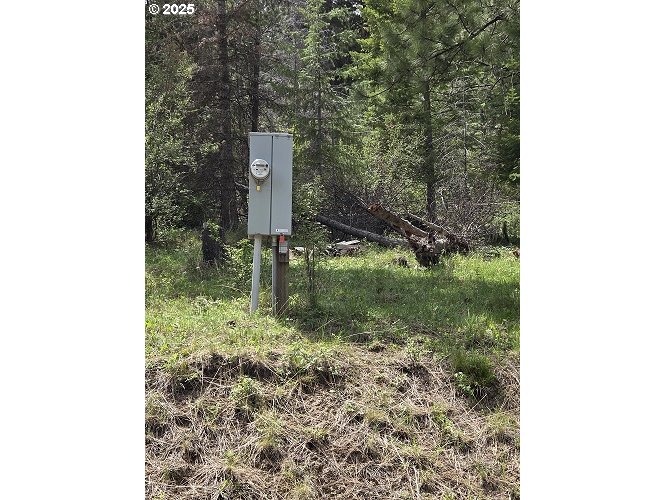 3300 Blake Ranch Road Heppner, OR 97836 - Photo 9 of 10 a backyard of a house