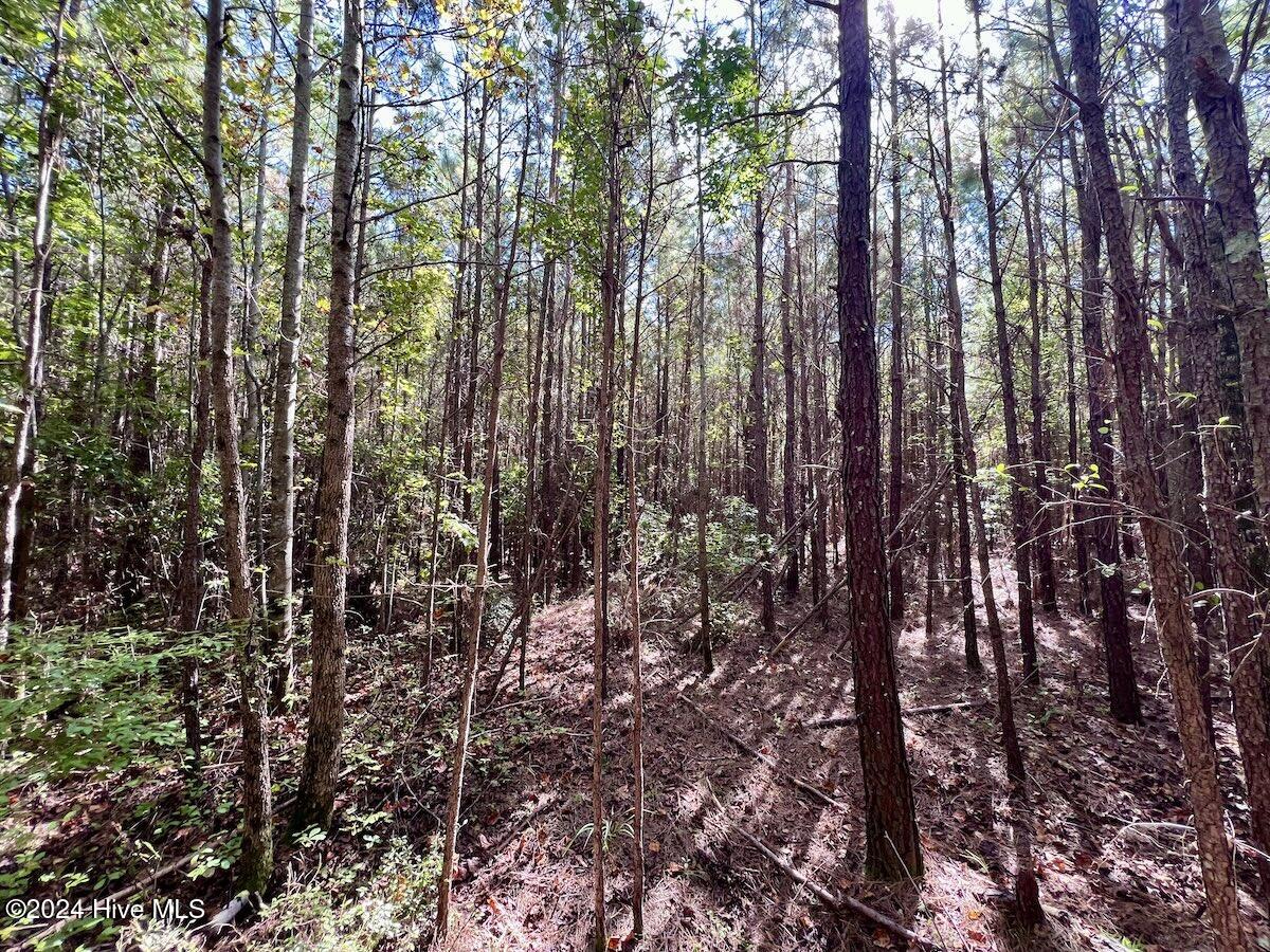 2 River Road Grifton, NC 28530 - Photo 29 of 36 28