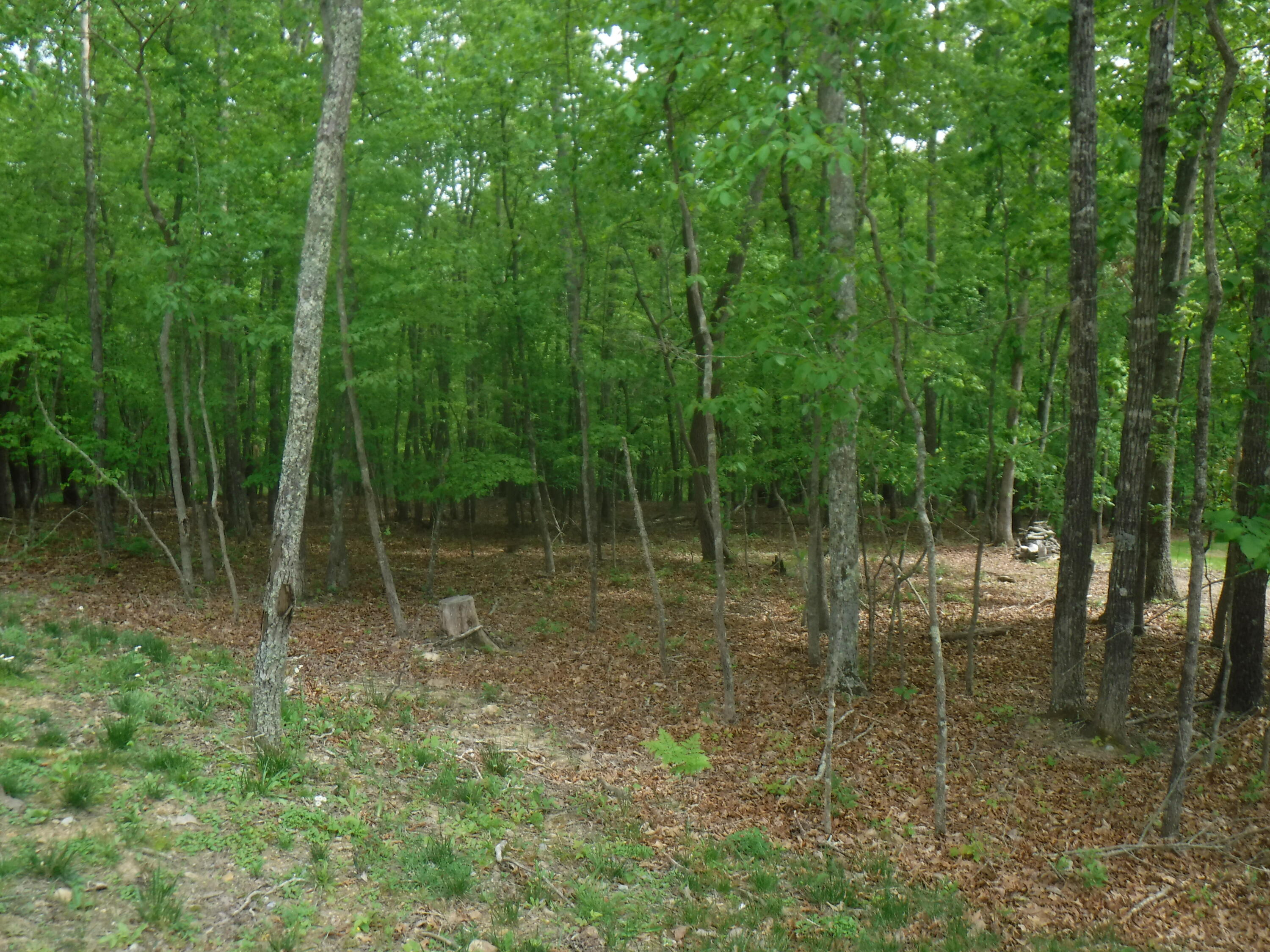 550 Anderson Estates Road Lewisburg, WV 24901 - Photo 33 of 47 Gallery Image 33