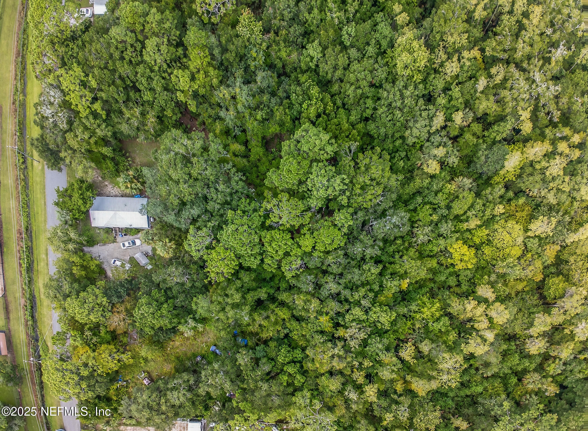 933 John Street St. Augustine, FL 32084 - Photo 11 of 19 a view of a house with a tree
