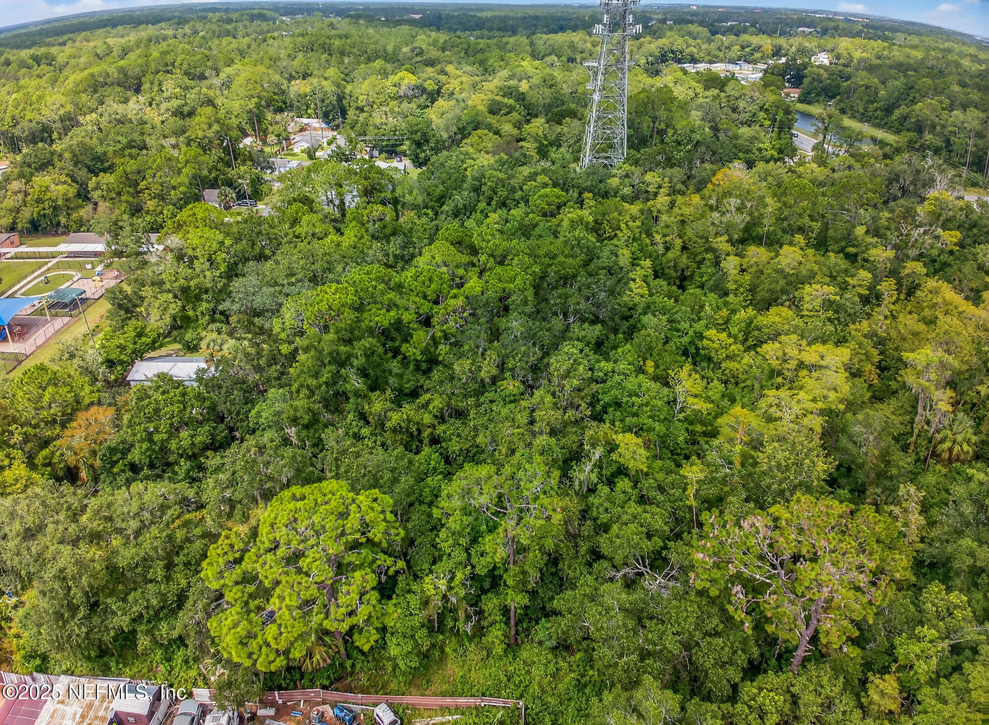 933 John Street St. Augustine, FL 32084 - Photo 16 of 19 a view of a garden