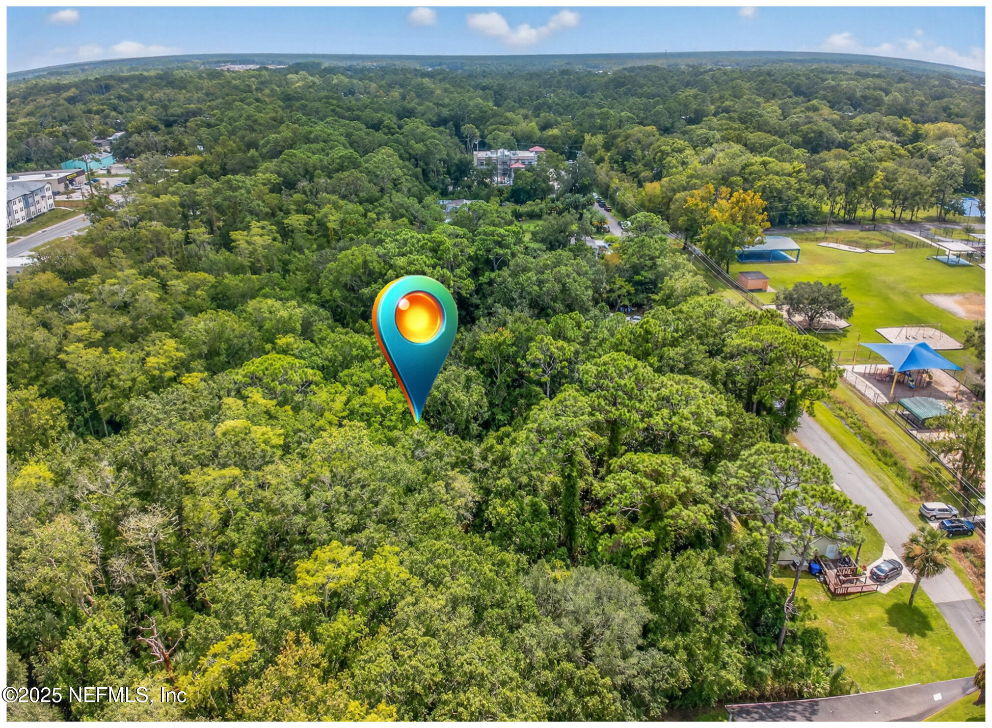933 John Street St. Augustine, FL 32084 - Photo 19 of 19 a view of a forest with a swimming pool