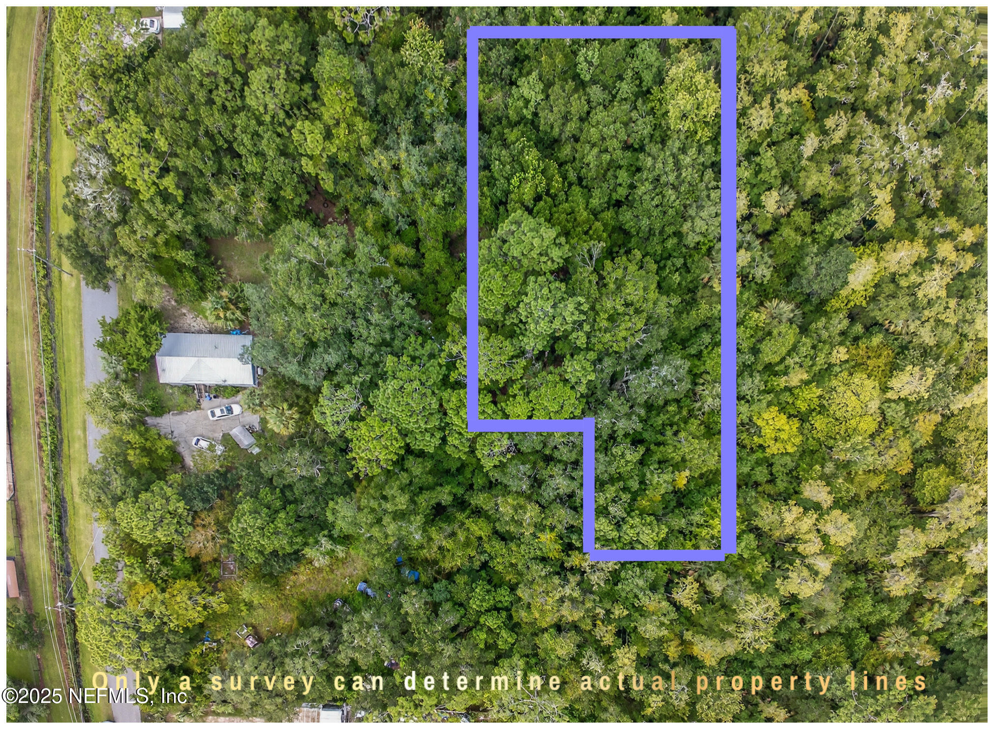 933 John Street St. Augustine, FL 32084 - Photo 2 of 19 a view of a garden