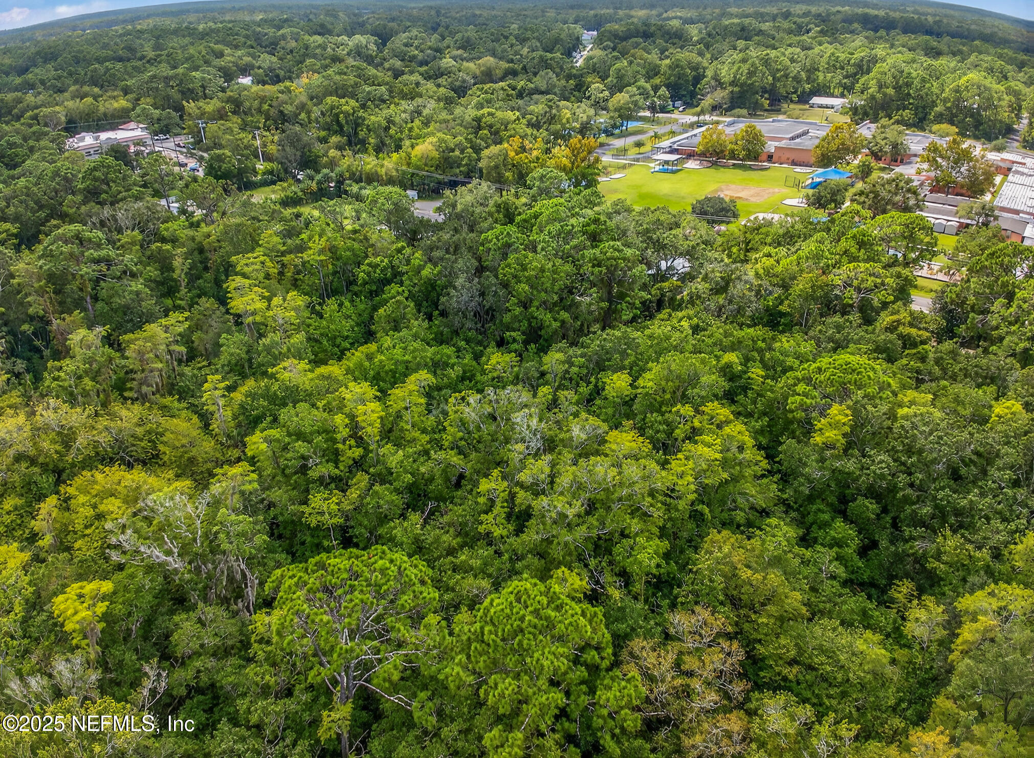 933 John Street St. Augustine, FL 32084 - Photo 4 of 19 a view of a houses with a lush green field