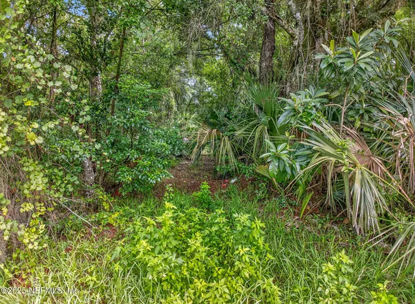 a view of a garden