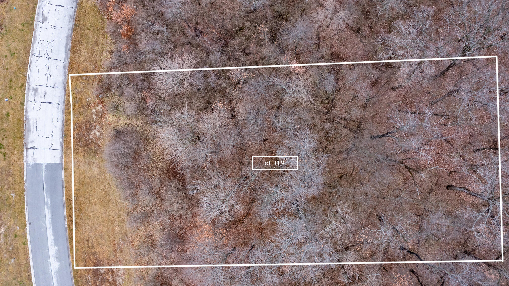 9275 Doubletree Drive North Crown Point, IN 46307 - Photo 8 of 25 a view of a dry yard