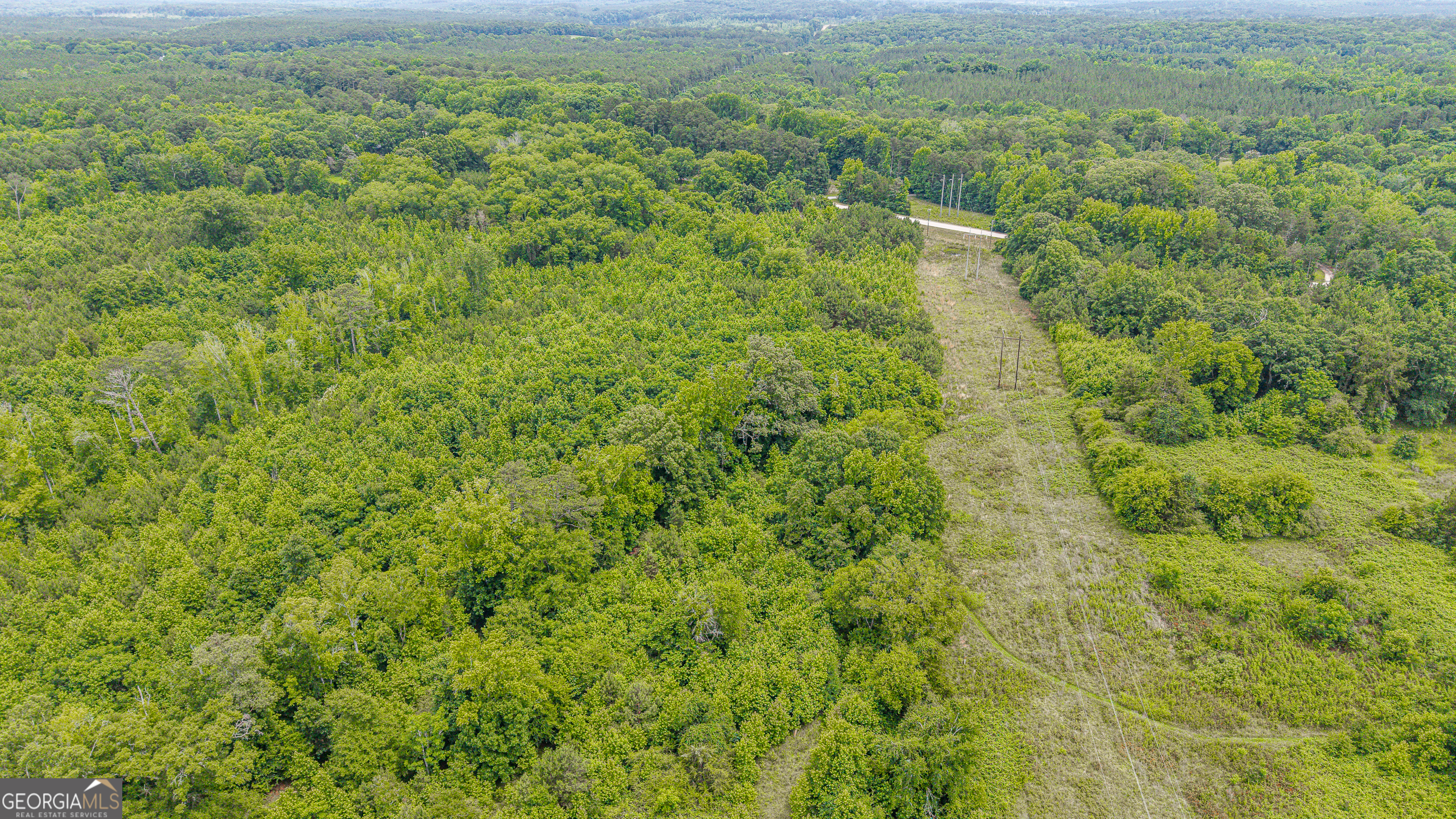 0 Washington Highway Union Point, GA 30669 - Photo 21 of 22