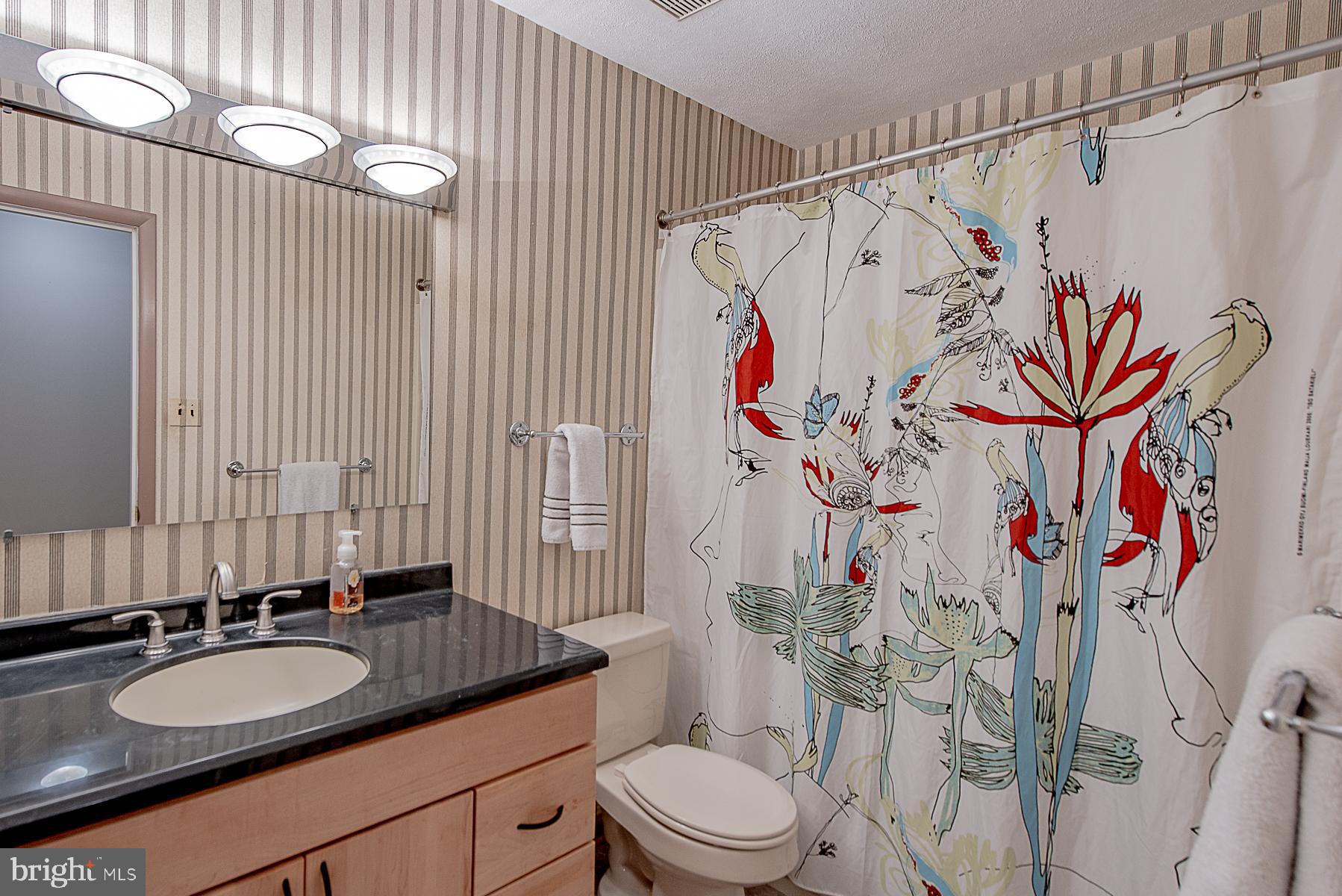 2617 Jonathan Road Ellicott City, MD 21042 - Photo 20 of 26 Second Full Bath with Updated Vanity
