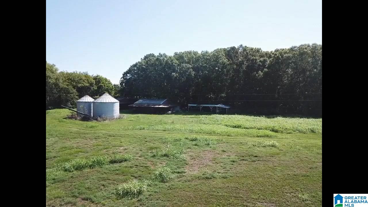 160 Strickland Lane Alpine, AL 35014 - Photo 11 of 50
