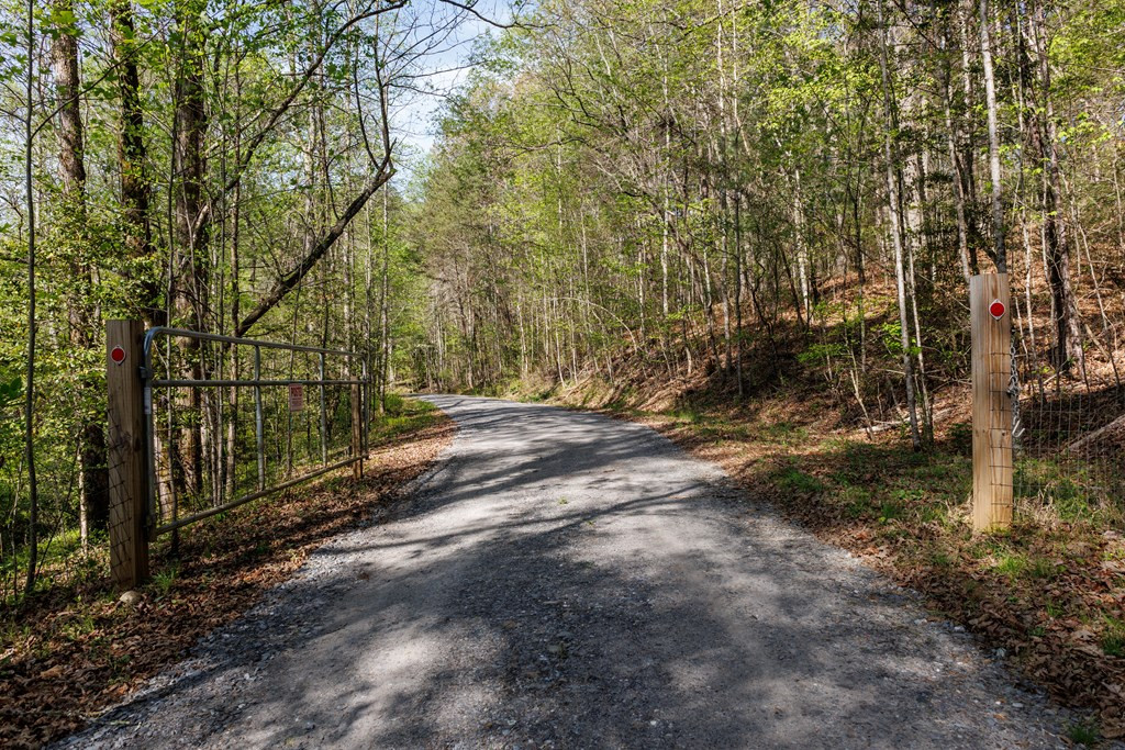 342 Hunter Ridge Murphy, NC 28906 - Photo 23 of 81 Gated entrance to 13.7 acres
