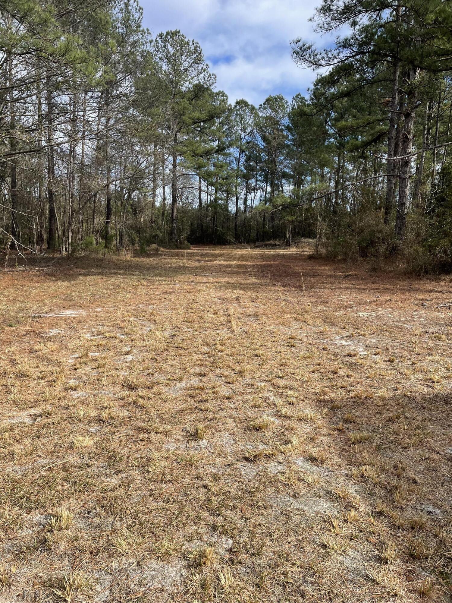 2067 Sandy Run Road Hampton, SC 29924 - Photo 3 of 9 IMG_1606