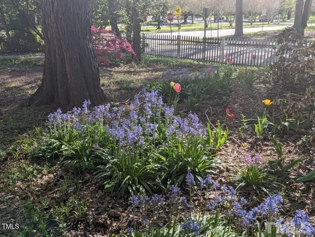 a view of yard with green space