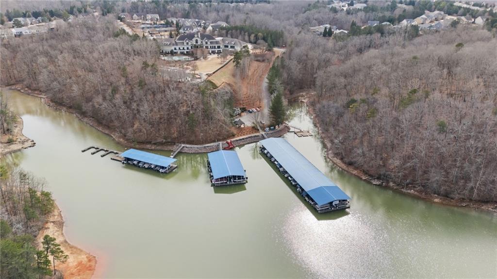 3418 Locust Cove Road Gainesville, GA 30504 - Photo 39 of 61 a bird view of house