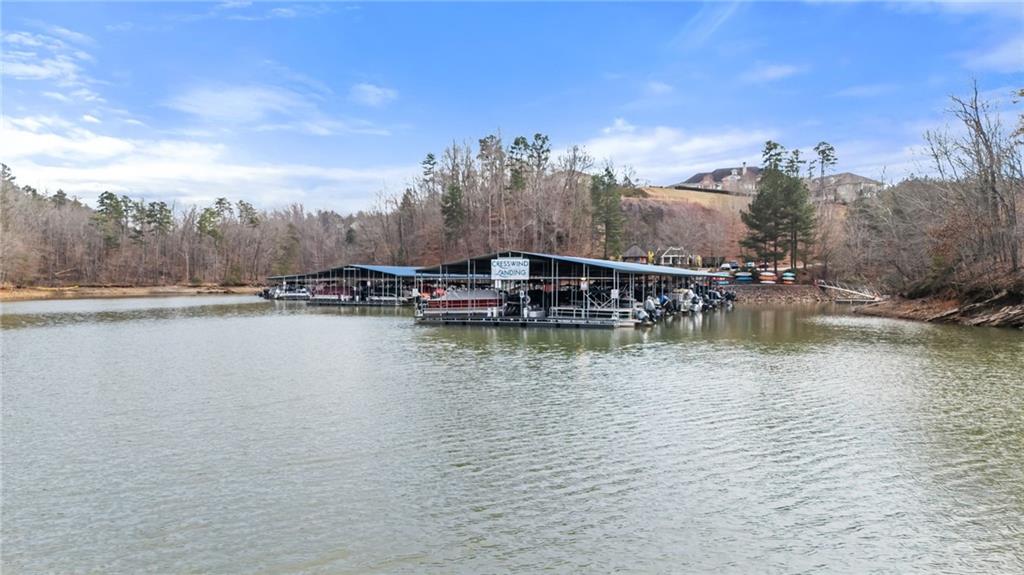 3418 Locust Cove Road Gainesville, GA 30504 - Photo 41 of 61 a view of lake
