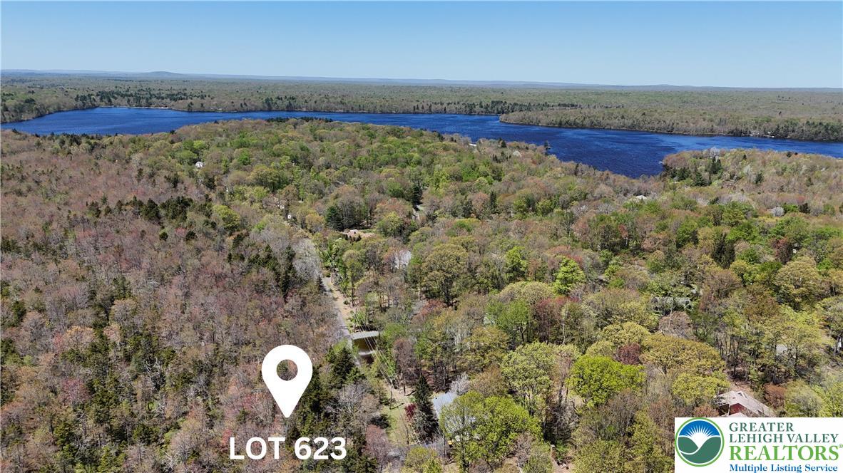 Aerial View/Proximity to Lake